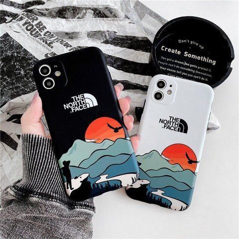 Чохол для iPhone 11 The North Face Захід Чорний